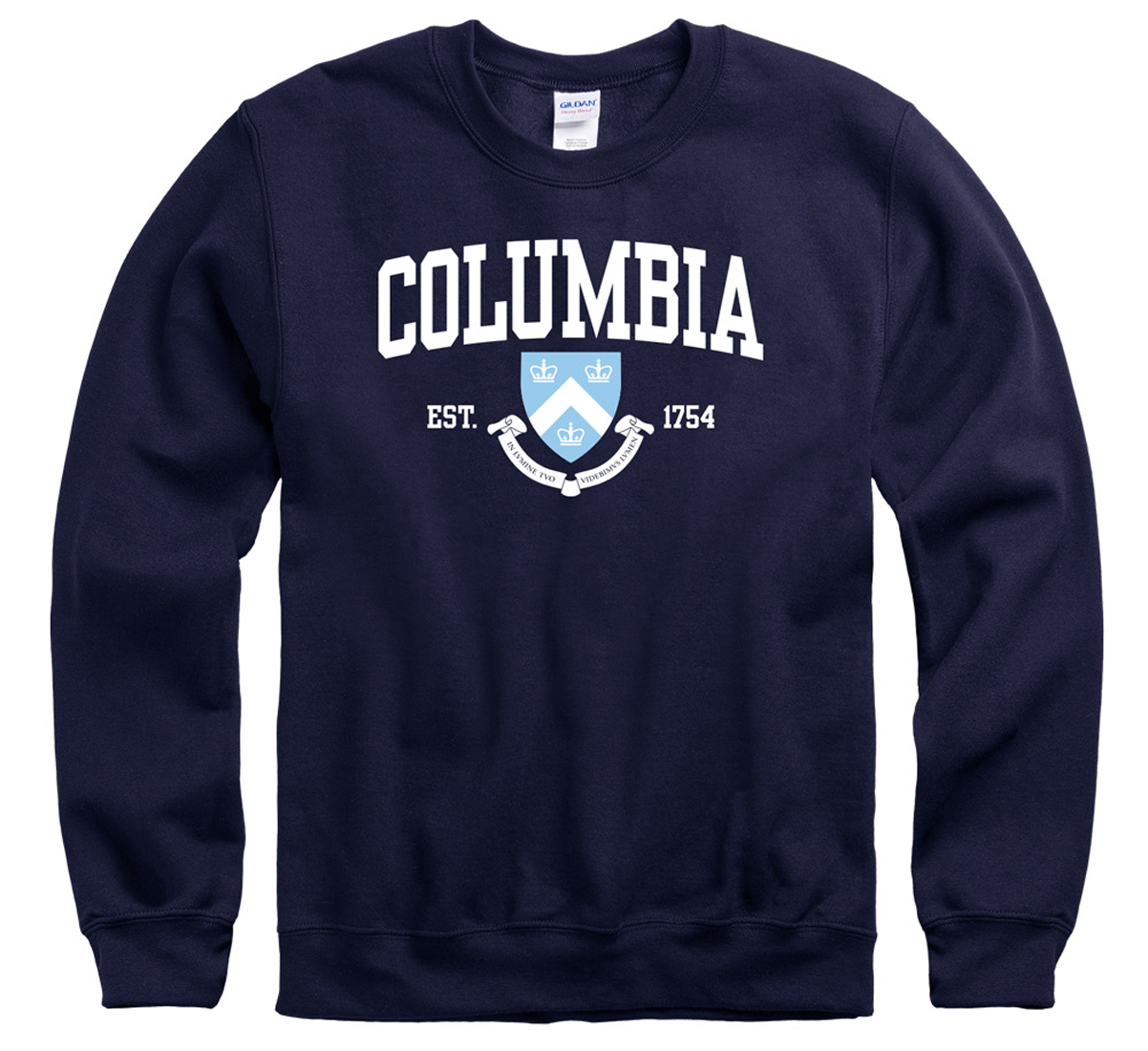 Columbia University Lions hoodie sweatshirt-Ash Gray