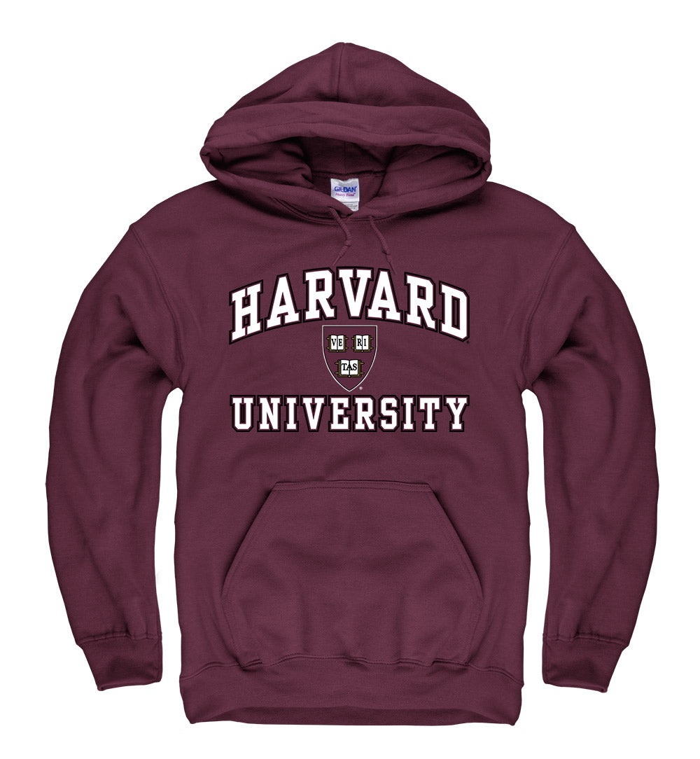 Amin Harvard University Hoodie