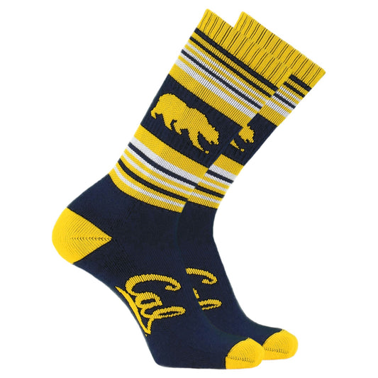 U.C. Berkeley Cal Bears midcalf socks stripe and the Bear mascot-Navy-Shop College Wear