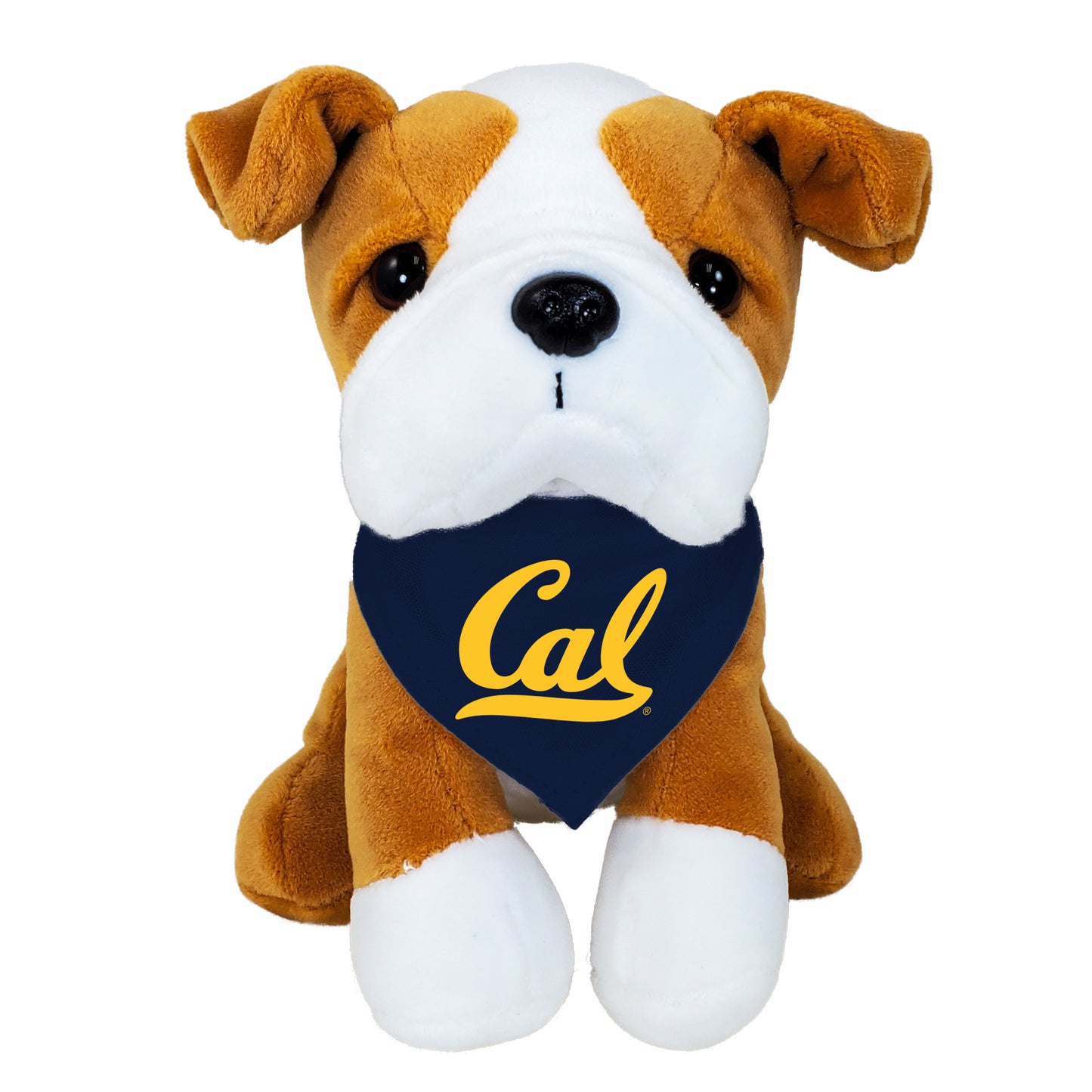 U.C. Berkeley Cal Palm Pals dog  with navy Cal bandana