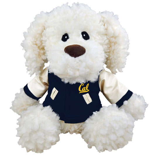 U.C. Berkeley Cal Teddy Bear Flopsy Dog with Varsity jacket- White-Shop College Wear