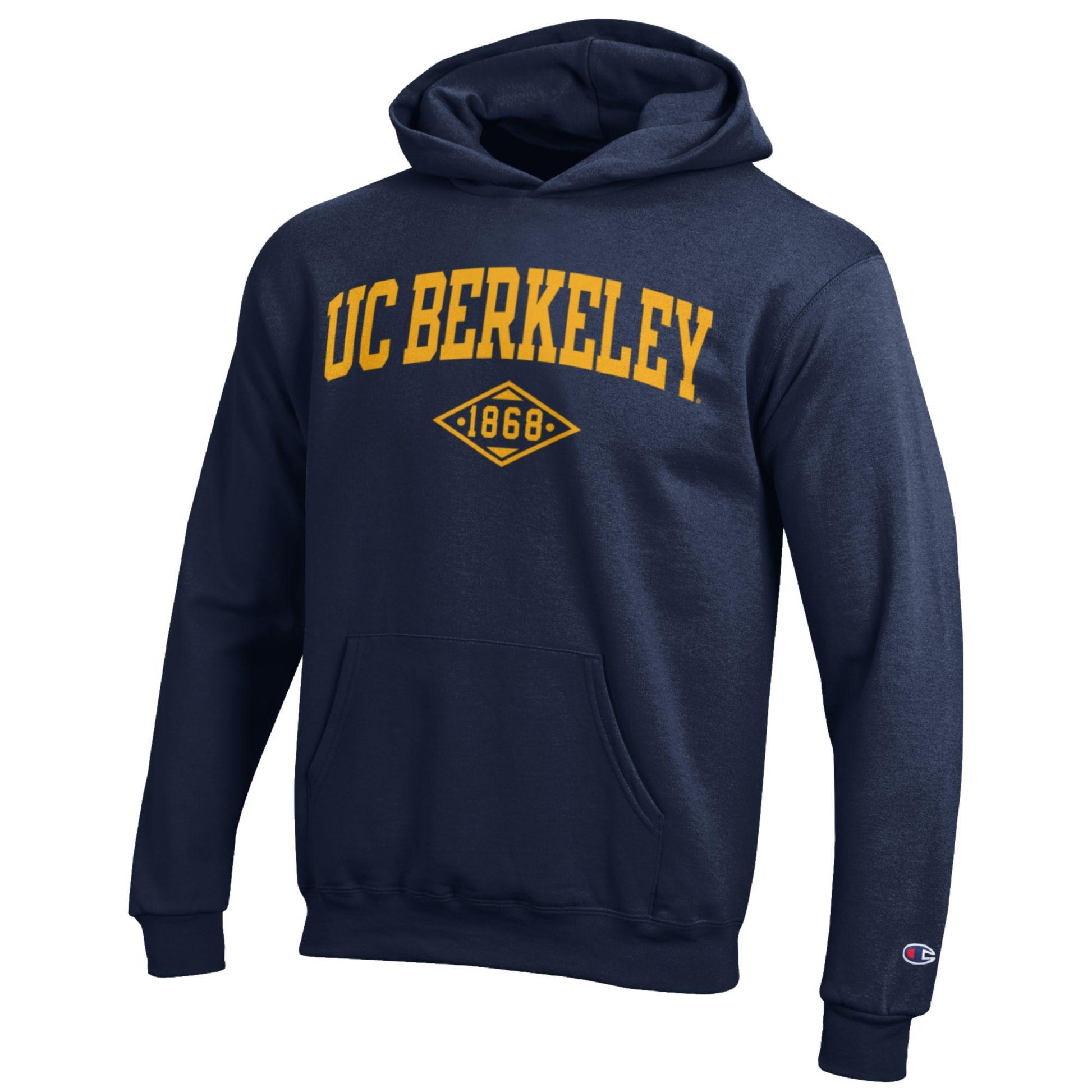 Berkeley Vertical Arch Over 1868 in Diamond youth hoodie