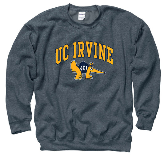UC Irvine Anteaters Men's Sweatshirt-Charcoal-Shop College Wear