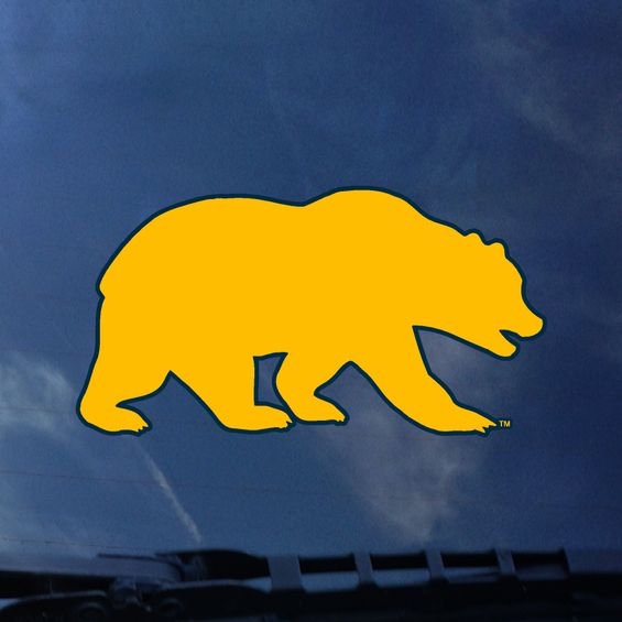 U.C. Berkeley Cal walking bear decal-Gold-Shop College Wear